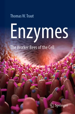 Abbildung von Traut | Enzymes | 1. Auflage | 2025 | beck-shop.de