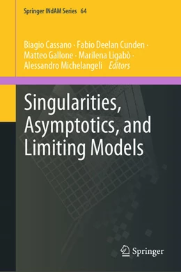 Abbildung von Cassano / Cunden | Singularities, Asymptotics, and Limiting Models | 1. Auflage | 2025 | beck-shop.de