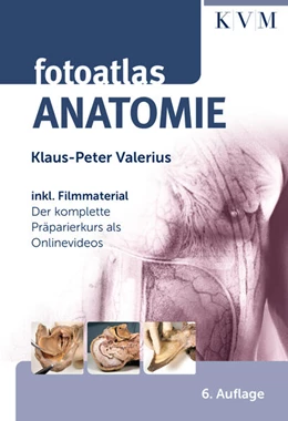 Abbildung von Valerius | Fotoatlas Anatomie | 6. Auflage | 2025 | beck-shop.de