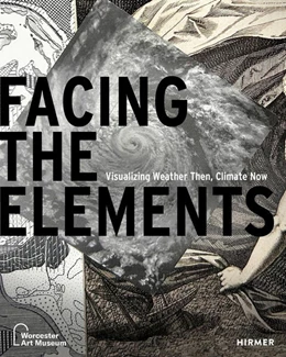 Abbildung von Cataldo / Stone | Facing the Elements | 1. Auflage | 2026 | beck-shop.de