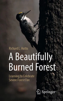 Abbildung von Hutto | A Beautifully Burned Forest | 1. Auflage | 2025 | beck-shop.de