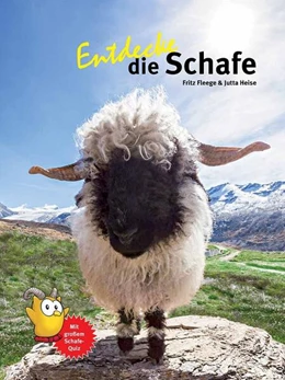 Abbildung von Heise / Fleege | Entdecke die Schafe | 1. Auflage | 2025 | beck-shop.de