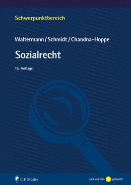 Abbildung von Waltermann / Schmidt | Sozialrecht | 16. Auflage | 2025 | beck-shop.de