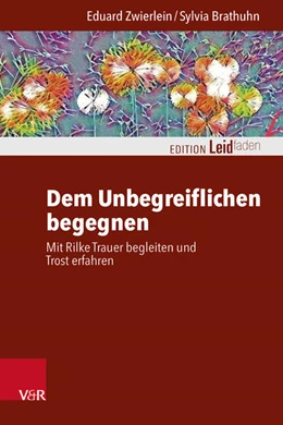 Abbildung von Zwierlein / Brathuhn | Dem Unbegreiflichen begegnen | 1. Auflage | 2026 | beck-shop.de