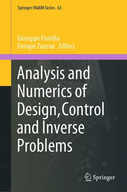 Abbildung von Floridia / Zuazua | Analysis and Numerics of Design, Control and Inverse Problems | 1. Auflage | 2025 | beck-shop.de