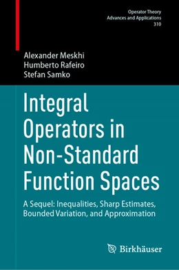 Abbildung von Meskhi / Rafeiro | Integral Operators in Non-Standard Function Spaces | 1. Auflage | 2025 | beck-shop.de