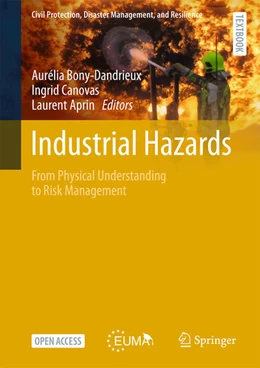 Abbildung von Bony-Dandrieux / Canovas | Industrial Hazards | 1. Auflage | 2026 | beck-shop.de