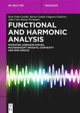 Abbildung von Castillo / Gutiérrez | Functional and Harmonic Analysis | 1. Auflage | 2025 | beck-shop.de