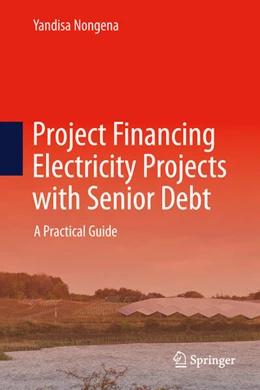 Abbildung von Nongena | Project Financing Electricity Projects with Senior Debt | 1. Auflage | 2026 | beck-shop.de