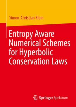 Abbildung von Klein | Entropy Aware Numerical Schemes for Hyperbolic Conservation Laws | 1. Auflage | 2026 | beck-shop.de