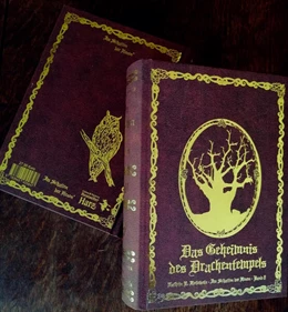 Abbildung von Hotowetz | Im Schatten der Hexen VIII | 1. Auflage | 2026 | beck-shop.de