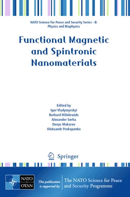 Abbildung von Vladymyrskyi / Hillebrands | Functional Magnetic and Spintronic Nanomaterials | 1. Auflage | 2025 | beck-shop.de