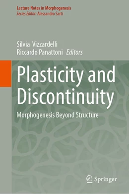 Abbildung von Vizzardelli / Panattoni | Plasticity and Discontinuity | 1. Auflage | 2026 | beck-shop.de