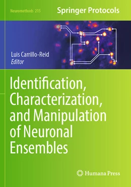 Abbildung von Carrillo-Reid | Identification, Characterization, and Manipulation of Neuronal Ensembles | 1. Auflage | 2025 | beck-shop.de