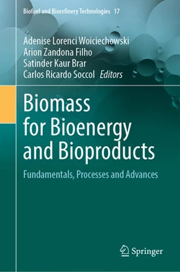 Abbildung von Woiciechowski / Filho | Biomass for Bioenergy and Bioproducts | 1. Auflage | 2026 | beck-shop.de