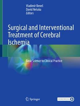 Abbildung von Benes / Netuka | Surgical and Interventional Treatment of Cerebral Ischemia | 1. Auflage | 2026 | beck-shop.de