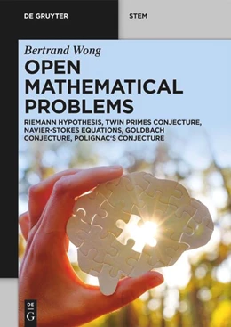 Abbildung von Wong | Open Mathematical Problems | 1. Auflage | 2026 | beck-shop.de