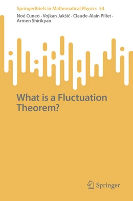 Abbildung von Cuneo / Jaksic | What is a Fluctuation Theorem? | 1. Auflage | 2026 | beck-shop.de