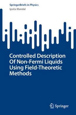 Abbildung von Mandal | Controlled Description Of Non-Fermi Liquids Using Field-Theoretic Methods | 1. Auflage | 2026 | beck-shop.de