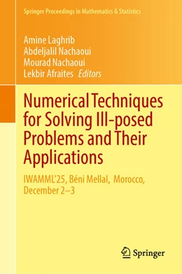 Abbildung von Laghrib / Nachaoui | Numerical Techniques for Solving Ill-posed Problems and Their Applications | 1. Auflage | 2026 | beck-shop.de