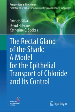 Abbildung von Silva / Evans | The Rectal Gland of the Shark: A Model for the Epithelial Transport of Chloride and Its Control | 1. Auflage | 2026 | beck-shop.de