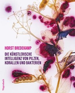 Abbildung von Bredekamp | Die künstlerische Intelligenz von Pilzen, Korallen und Bakterien | 1. Auflage | 2026 | beck-shop.de