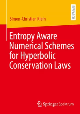 Abbildung von Klein | Entropy Aware Numerical Schemes for Hyperbolic Conservation Laws | 1. Auflage | 2026 | beck-shop.de