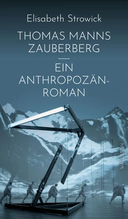Abbildung von Strowick | Thomas Manns 'Zauberberg' - ein Anthropozän-Roman | 1. Auflage | 2026 | beck-shop.de