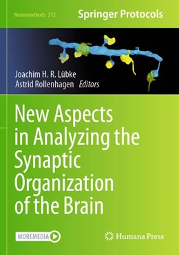 Abbildung von Lübke / Rollenhagen | New Aspects in Analyzing the Synaptic Organization of the Brain | 1. Auflage | 2025 | beck-shop.de