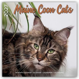 Abbildung von Plenty Gifts | Maine Coon Cats - Main Coon Katzen 2027 - 18-Monatskalender - Original Plenty Gifts-Kalender [Mehrsprachig] [Kalender] | 1. Auflage | 2026 | beck-shop.de