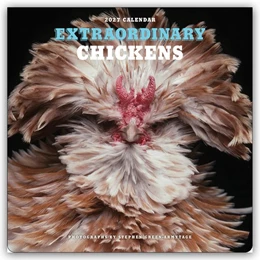 Abbildung von Harry N. Abrams | Extraordinary Chickens - Außergewöhnliche Hühner 2027 - Wandkalender - Original Harry N. Abrams Kalender [Mehrsprachig] [Kalender] | 1. Auflage | 2026 | beck-shop.de