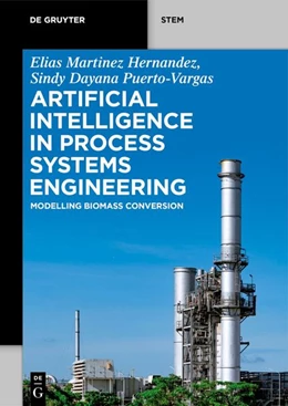Abbildung von Martinez-Hernandez / Puerto-Vargas | Artificial Intelligence in Process Systems Engineering | 1. Auflage | 2026 | beck-shop.de