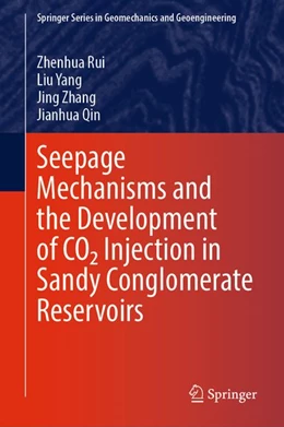 Abbildung von Rui / Yang | Seepage Mechanisms and the Development of CO2 Injection in Sandy Conglomerate Reservoirs | 1. Auflage | 2026 | beck-shop.de