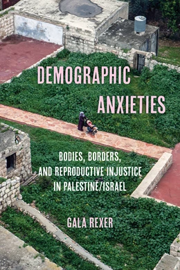 Abbildung von Rexer | Demographic Anxieties | 1. Auflage | 2026 | 17 | beck-shop.de