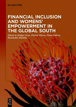 Abbildung von Irene / Ebewo | Financial Inclusion and Womens' Empowerment in the Global South | 1. Auflage | 2026 | beck-shop.de