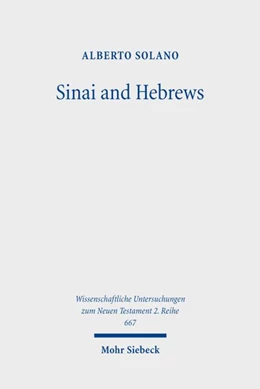 Abbildung von Solano | Sinai and Hebrews | 1. Auflage | 2026 | beck-shop.de