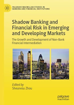 Abbildung von Zhou | Shadow Banking and Financial Risk in Emerging and Developing Markets | 1. Auflage | 2026 | beck-shop.de