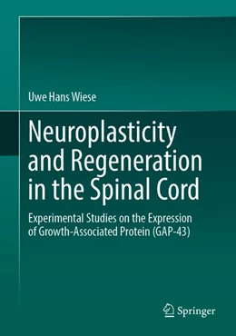 Abbildung von Wiese | Neuroplasticity and Regeneration in the Spinal Cord | 1. Auflage | 2026 | beck-shop.de