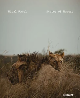 Abbildung von Nadine Barth / Mital Patel | Mital Patel - States of Nature | 1. Auflage | 2026 | beck-shop.de