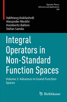 Abbildung von Kokilashvili / Meskhi | Integral Operators in Non-Standard Function Spaces | 1. Auflage | 2025 | beck-shop.de