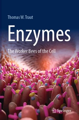 Abbildung von Traut | Enzymes | 1. Auflage | 2026 | beck-shop.de