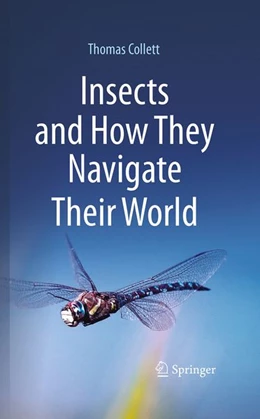 Abbildung von Collett | Insects and How They Navigate Their World | 1. Auflage | 2026 | beck-shop.de
